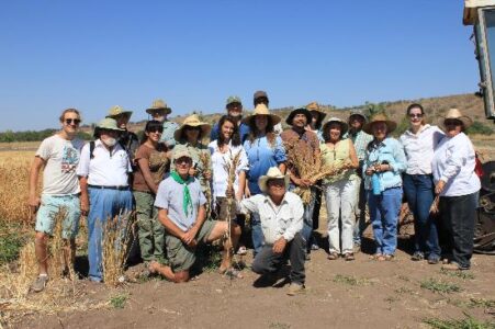 How to Buy Seeds Image